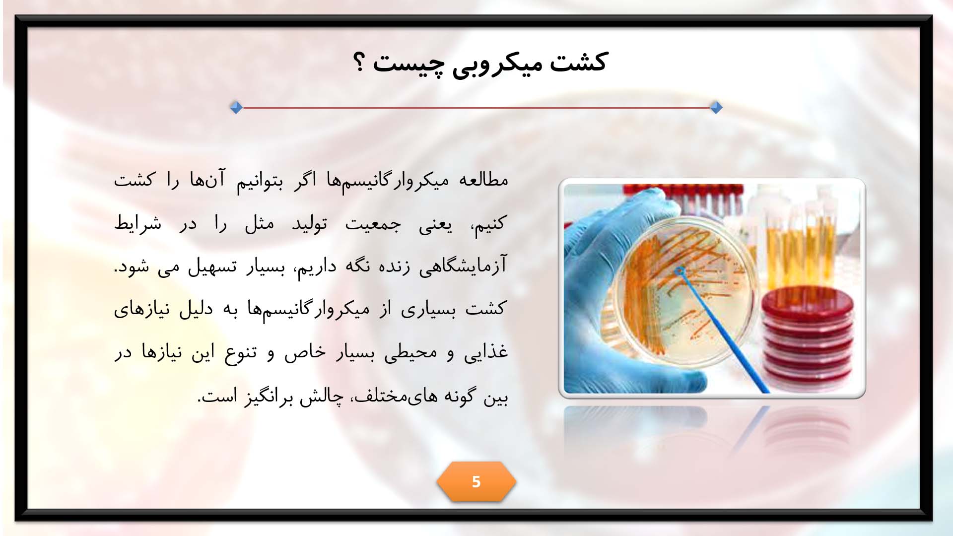 پاورپوینت در مورد کشت باکتری 